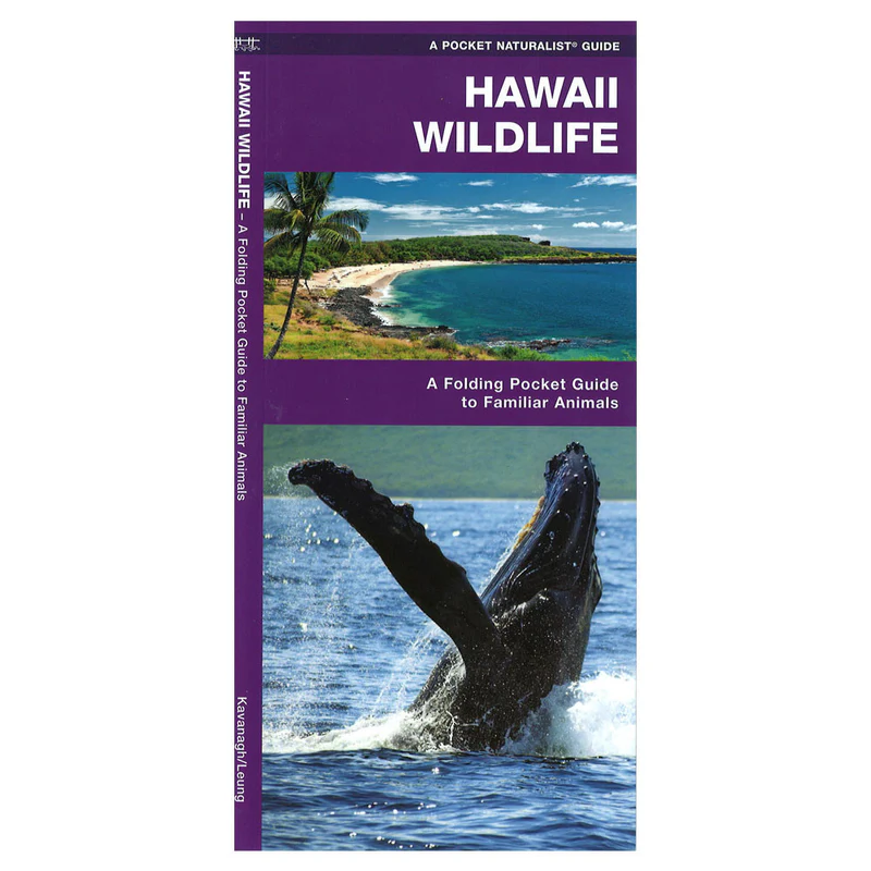 Pocket Guide: Hawaiian Wildlife, An Introduction to Familiar Species