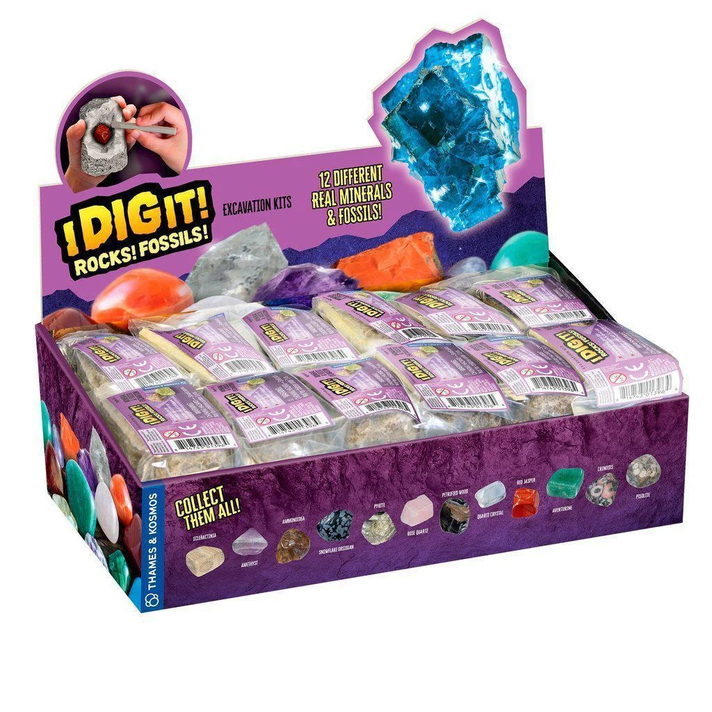I DIG IT! Rocks & Fossils Mini Excavation Kits