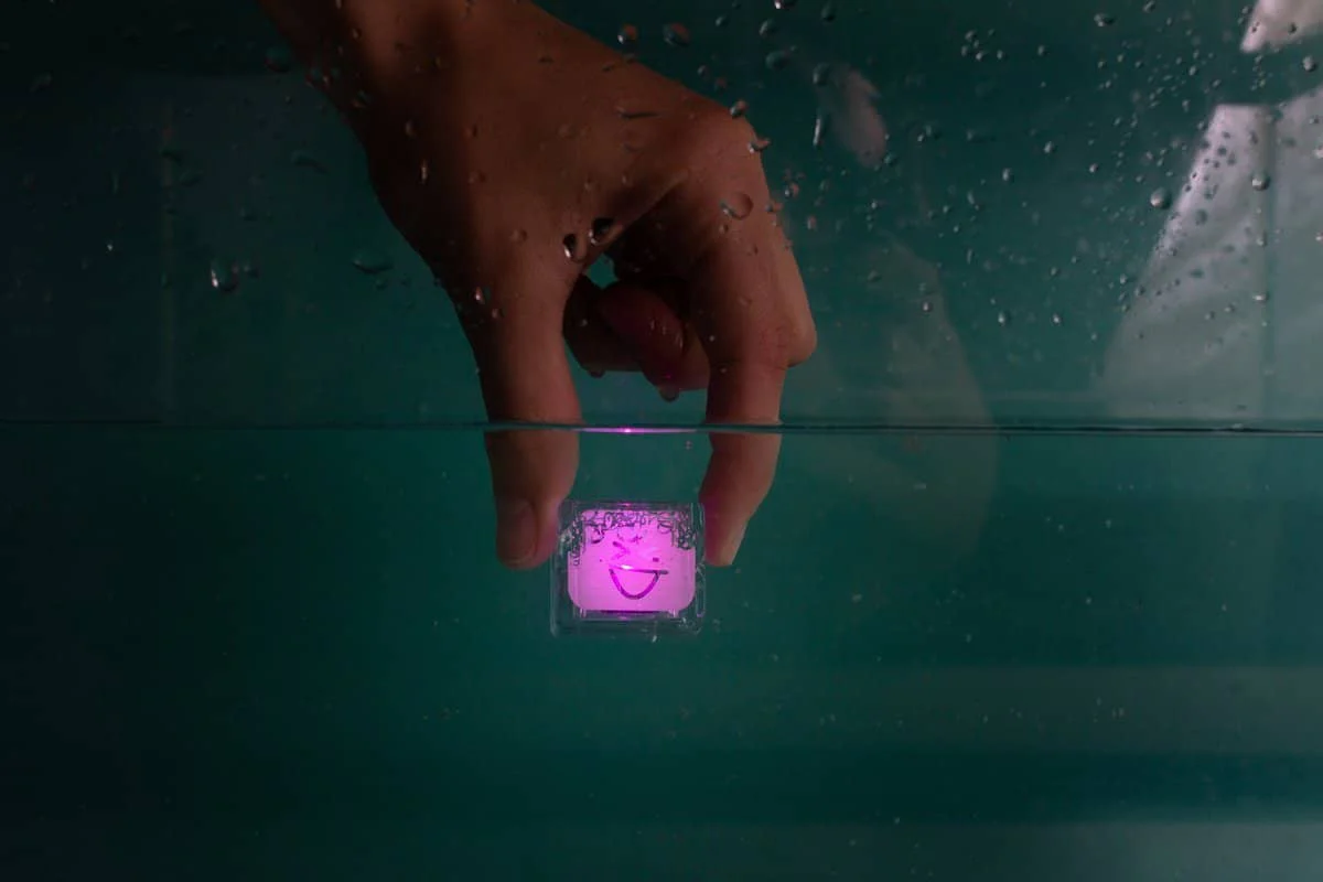 Glo Pals 4 Pack - Purple (Lumi)