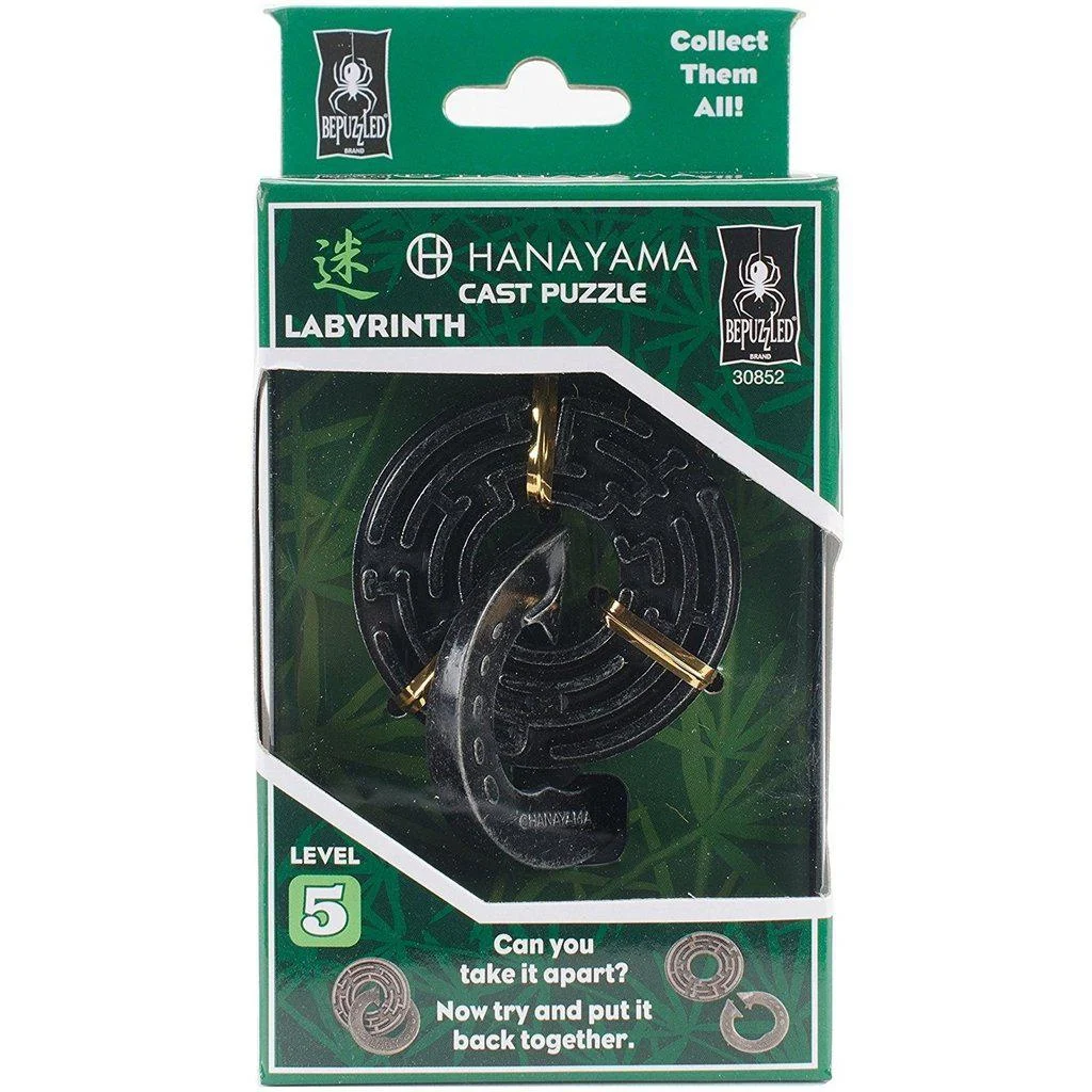 Labyrinth - Level 5 Hanayama Cast Puzzle