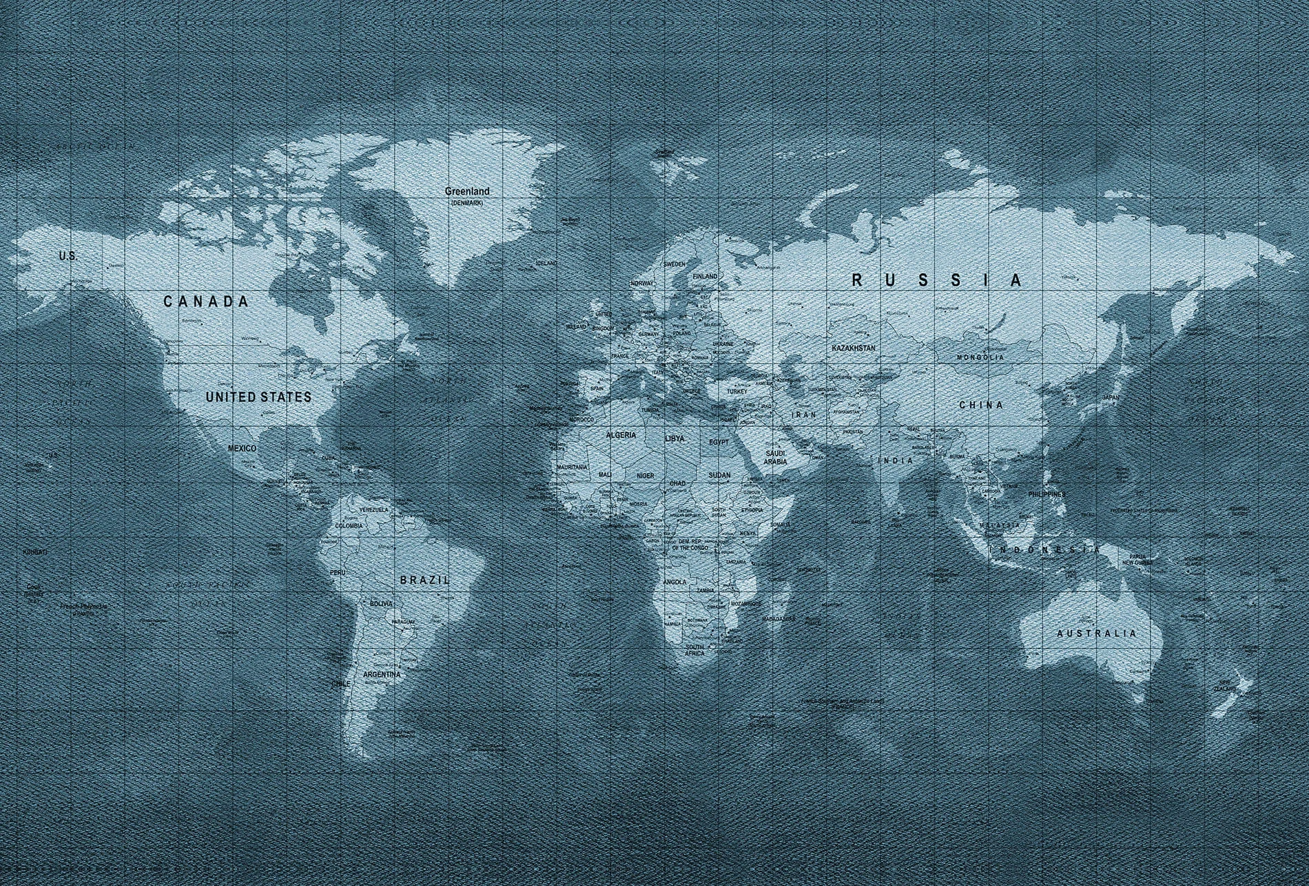 World Map Mural