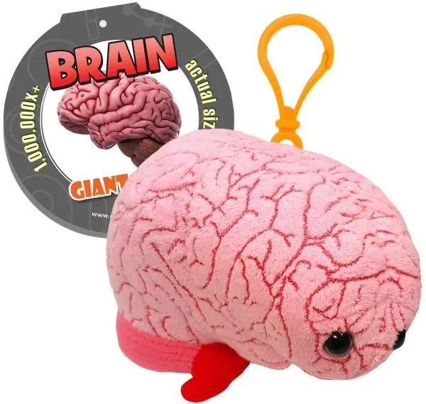 Plush Brain Organ Keychain