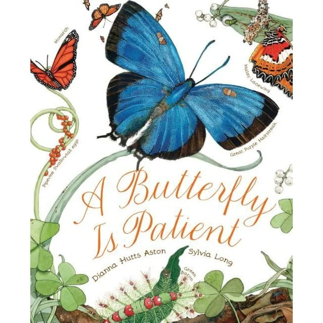 Butterfly Is Patient