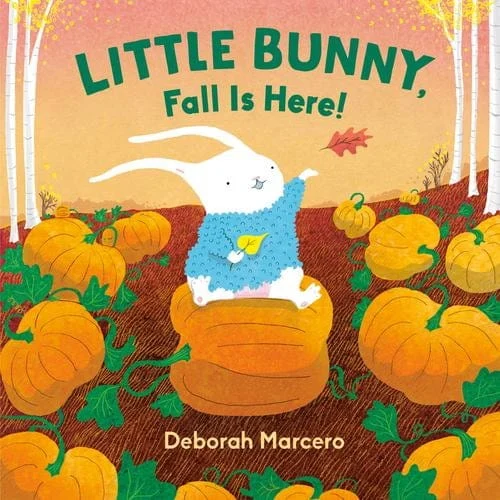 Little Bunny, Fall Is Here! (Board Book)