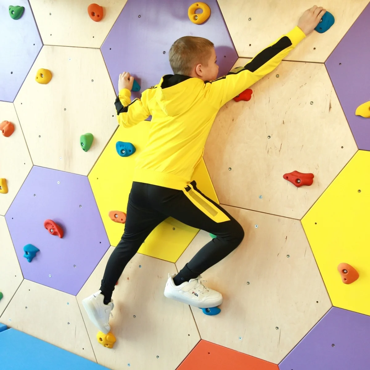 Honeycomb Rock Climbing Wall
