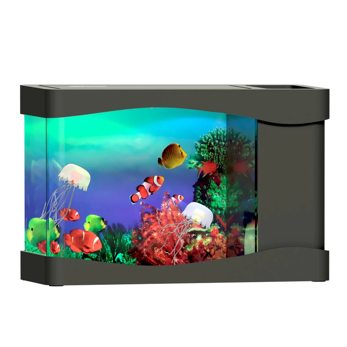 Mini Jellyfish Aquarium