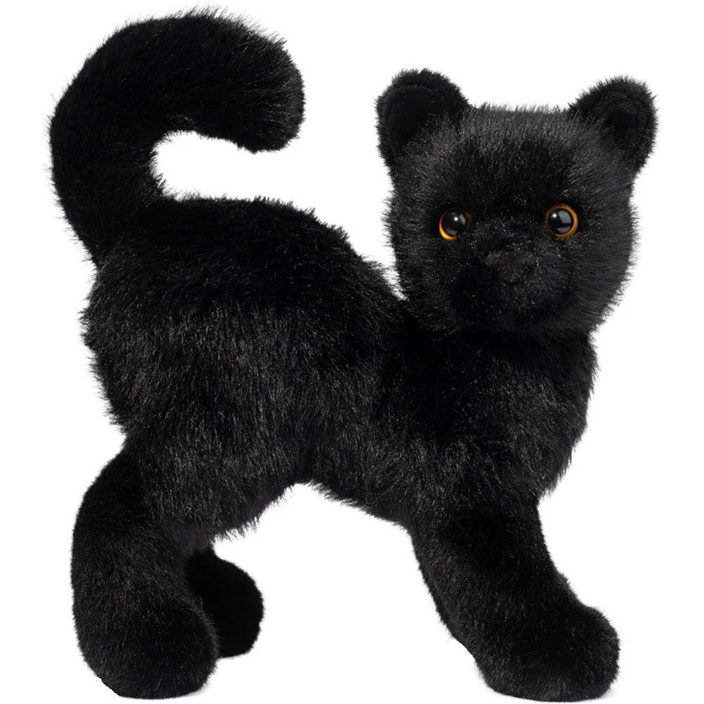 Scaredy Black Cat
