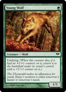 MtG Trading Card Game Dark Ascension Common Foil Young Wolf #134