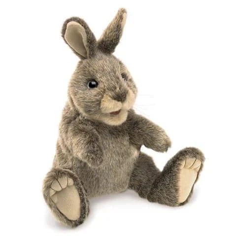 Small Cotton Tail Rabbit