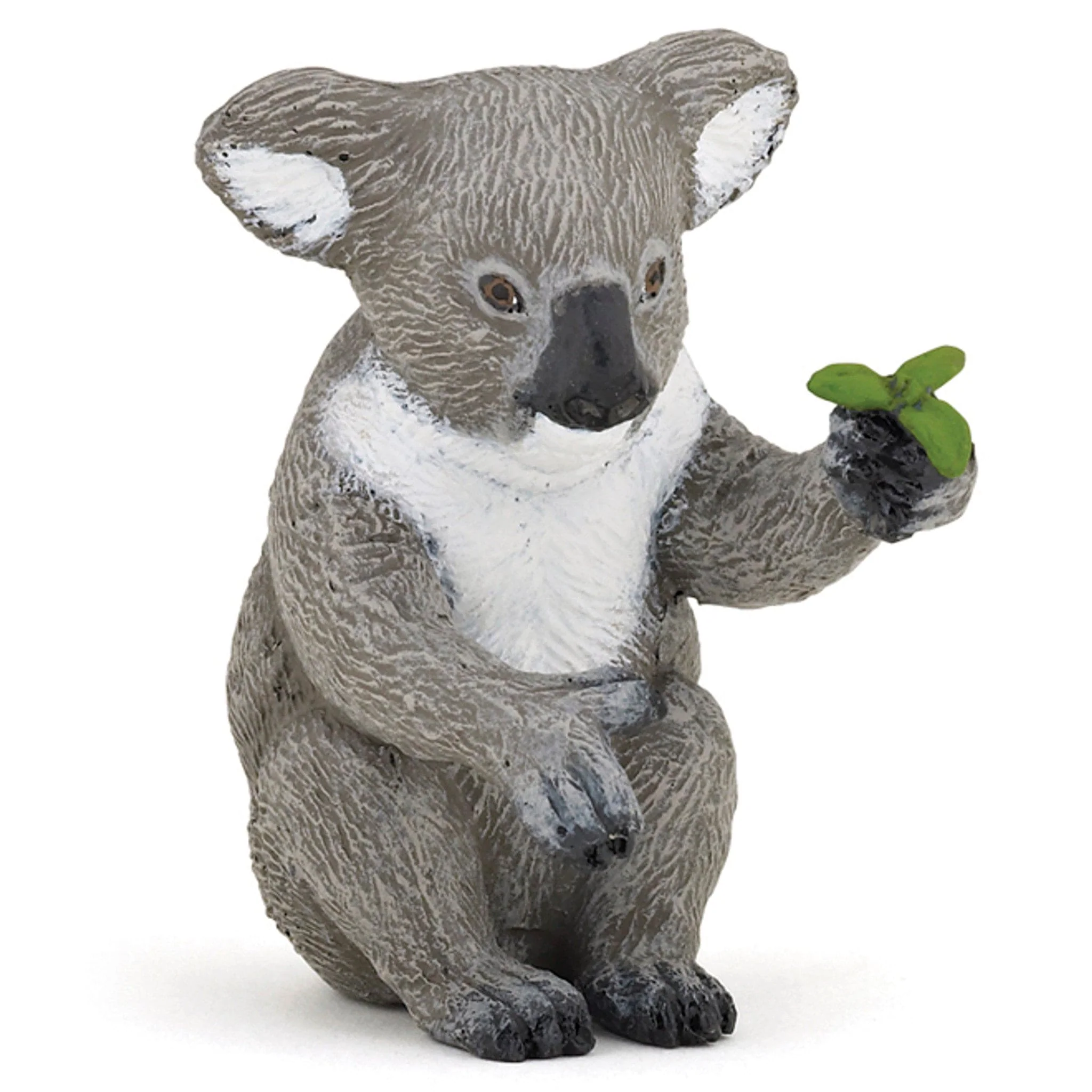 50111 Koala