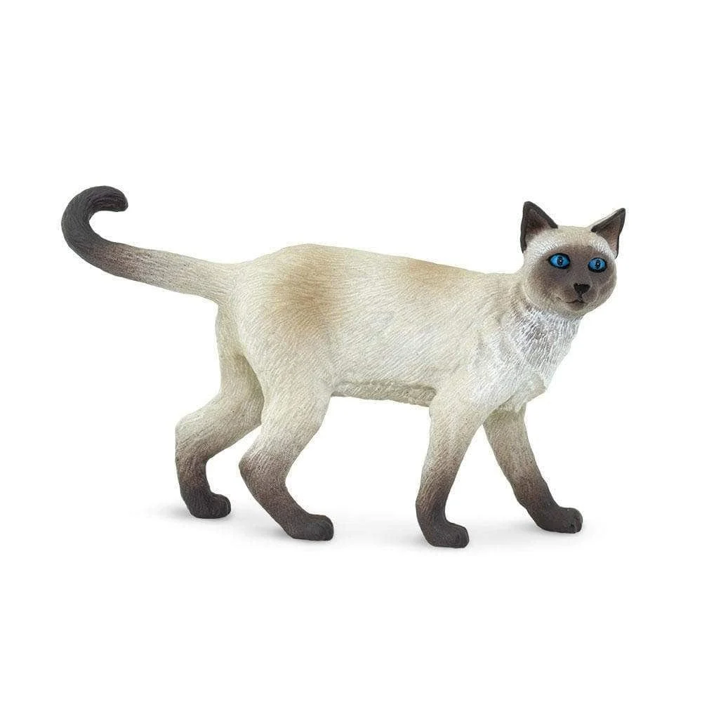 100061 Siamese Cat