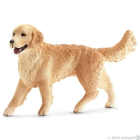 Golden Retriever, Female