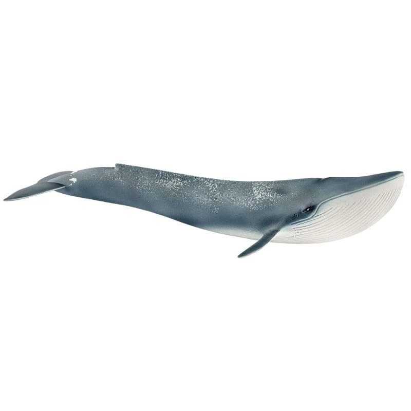 14806 Blue Whale