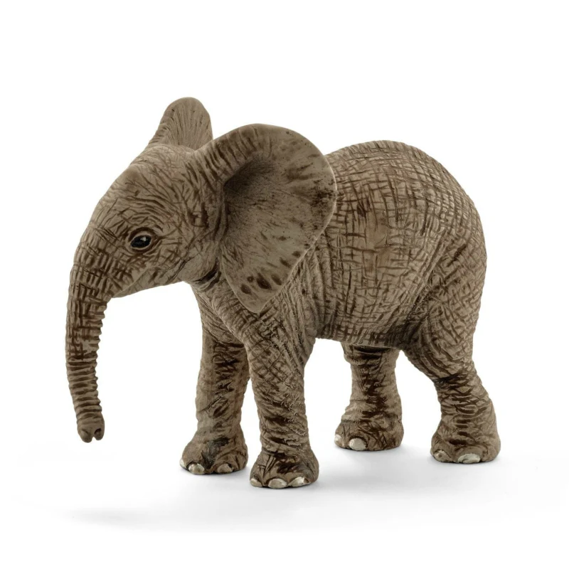 14763 African Elephant Calf