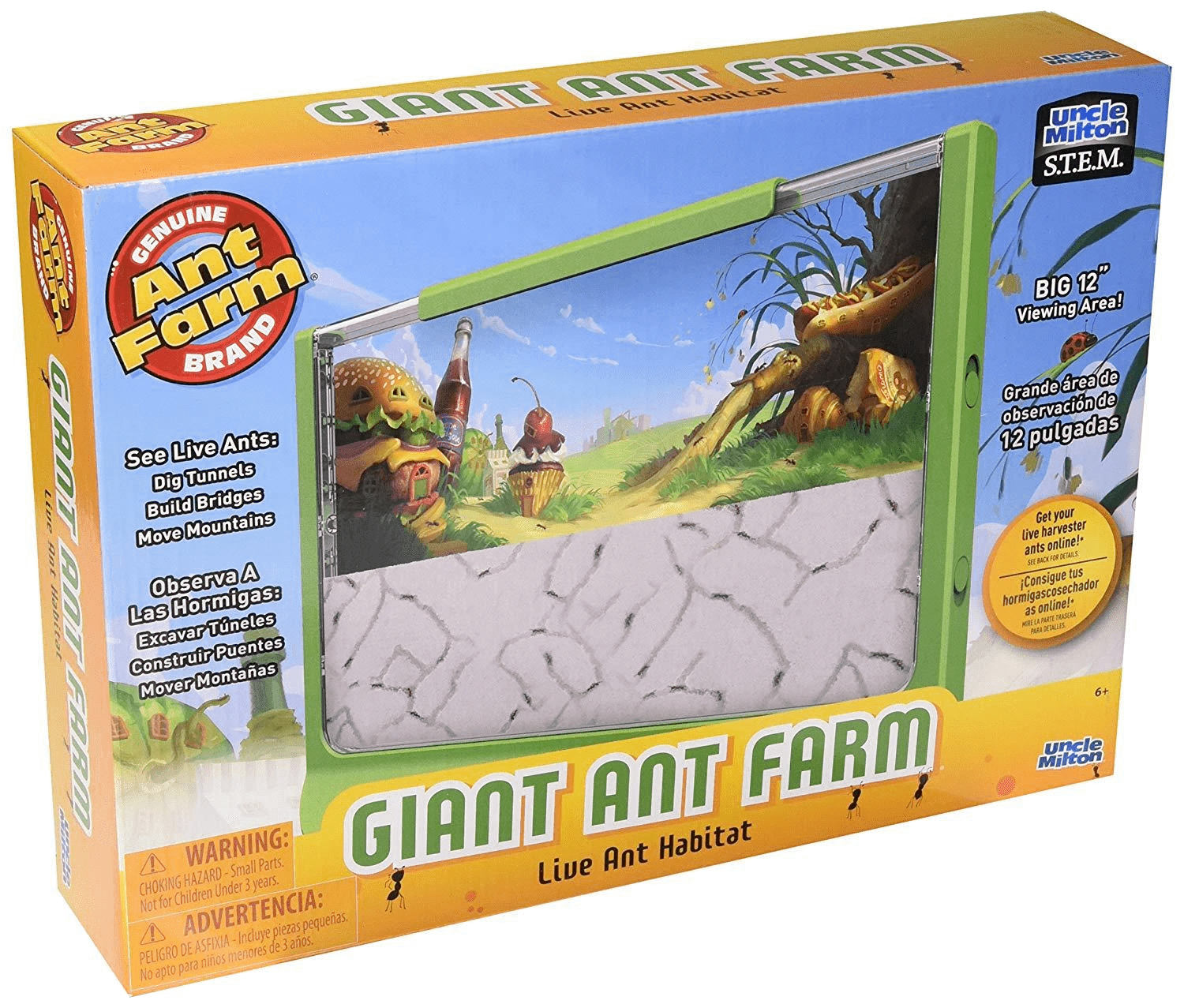 Giant Ant Farm
