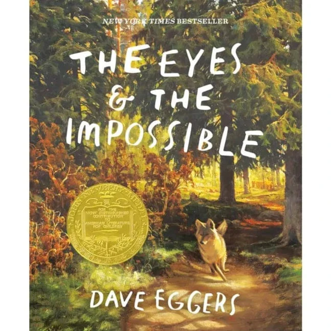 The Eyes and the Impossible